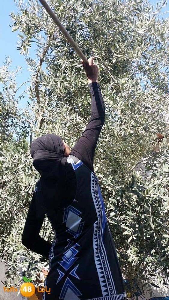 alkeram zatoon3 (17).jpg